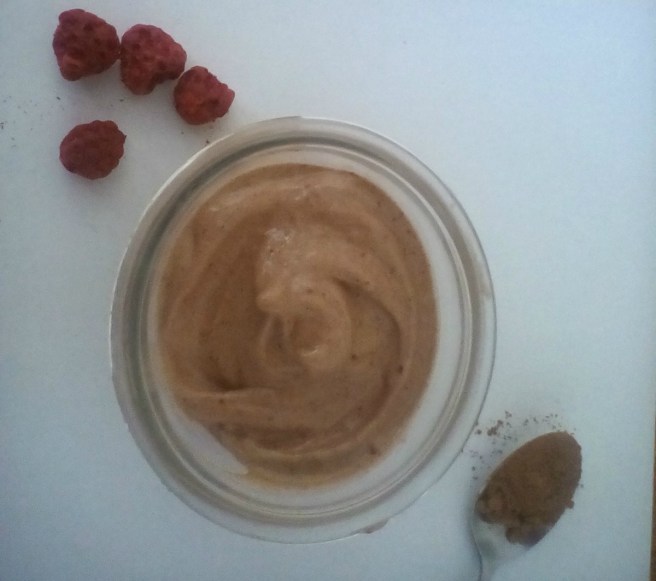 Dairy-free Chocolate Raspberry Frozen Treat